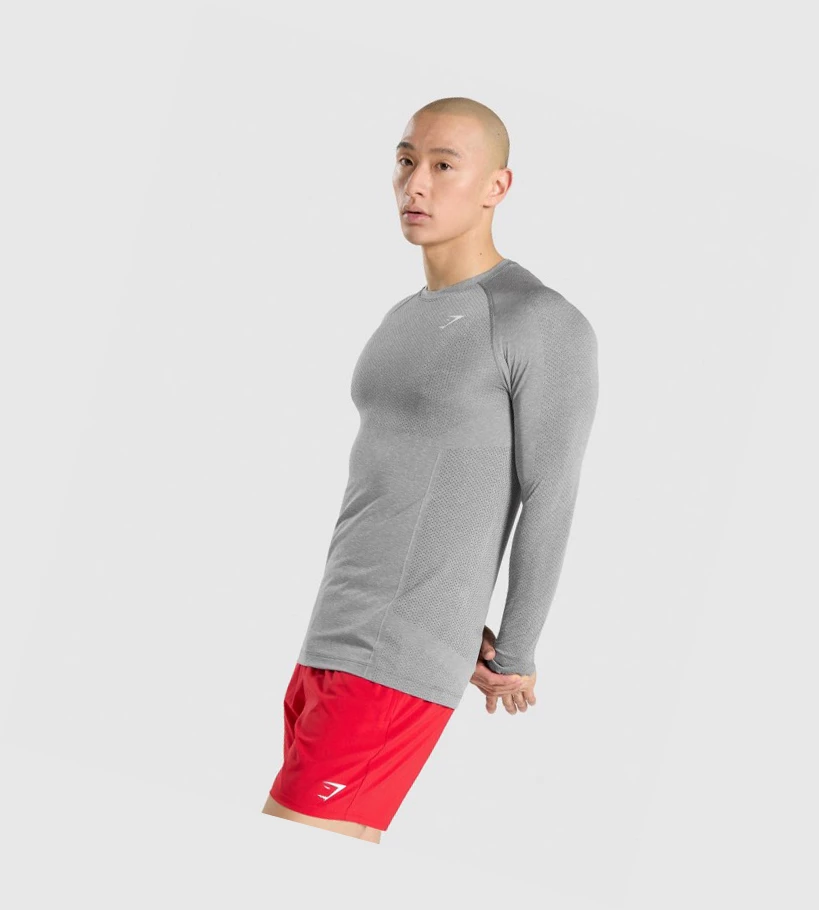 Gymshark Vital Seamless T-skjorte Herre Grå | LAGTMR306