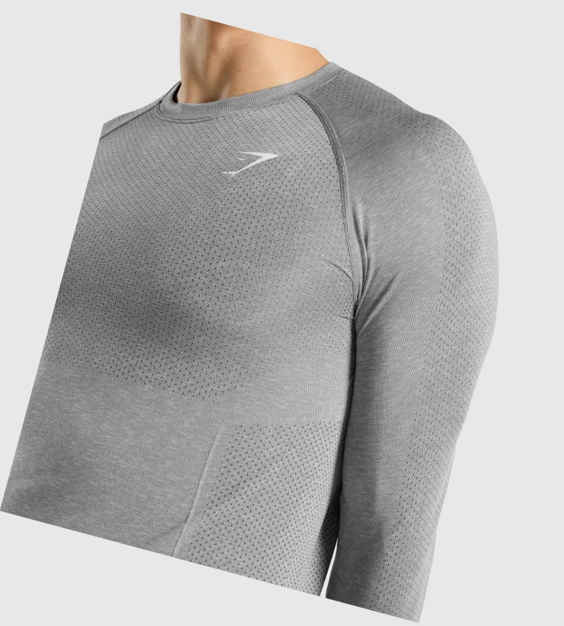 Gymshark Vital Seamless T-skjorte Herre Grå | LAGTMR306