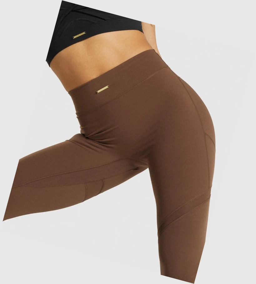 Gymshark Whitney Mesh High Waisted Leggings Dame Brune | EVQLMS257