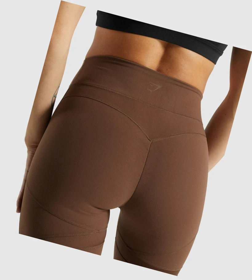 Gymshark Whitney Mesh High Waisted Leggings Dame Brune | EVQLMS257