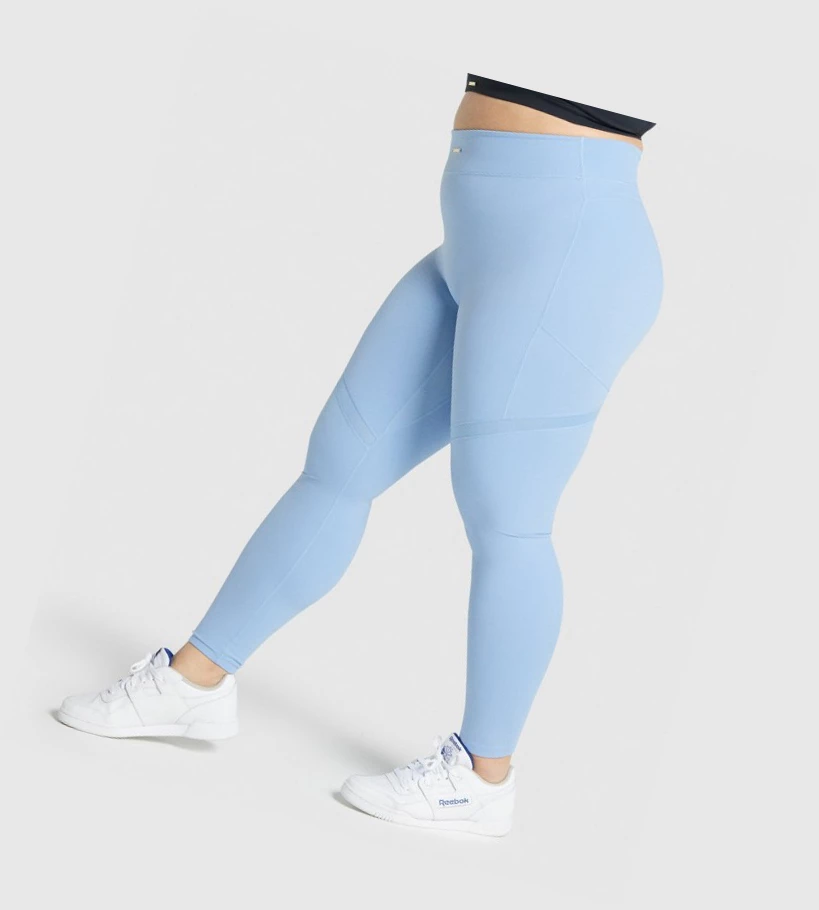 Gymshark Whitney Mesh High Waisted Leggings Dame Blå | GBESVW814