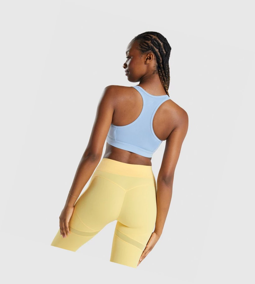 Gymshark Whitney Mesh Sports Bh Dame Blå | PUYKGC327