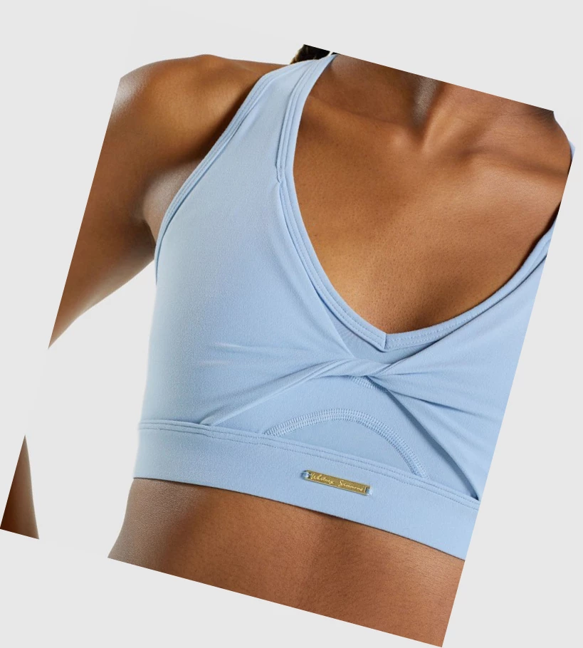 Gymshark Whitney Mesh Sports Bh Dame Blå | PUYKGC327